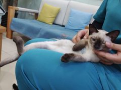 -美迦爱-牙专科·兔科·骨科诊疗中心(北苑店)
