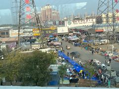 -中环花鸟鱼虫市场