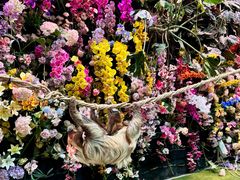 -正佳雨林生态植物园
