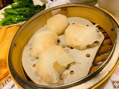 -点点心点心专门店(湾仔店)