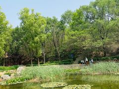 -云岗森林公园