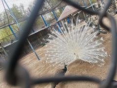 -森林公园(尖草坪区)