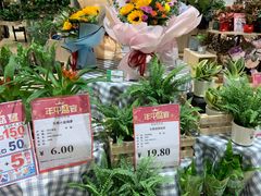 -AEON永旺(东方宝泰店)