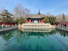 -百脉泉景区