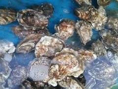 -京秀缘蒸汽海鲜农家菜大馅蒸饺