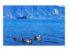 -丽江泸沽湖景区-里格半岛