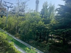 -富斯特索道