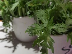 -大龙燚火锅(天安云谷店)