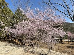 -北京十三陵国家森林公园蟒山景区