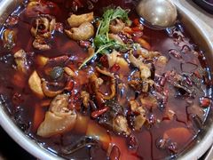 -晓彭肥肠鸡·泡椒鸡火锅(水木天地店)