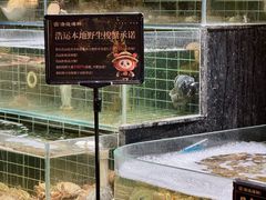 -浩运海鲜·16年专注青岛菜(石老人店)