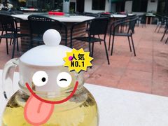 -墨脱石锅椰子鸡•香草鸭•东山羊(大东海店)