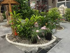 -兴芮温泉度假区