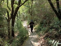 -杭州半山国家森林公园