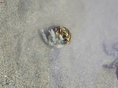 -从前慢海鲜面馆