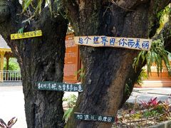 -西双版纳傣族园