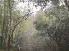 -紫金山山顶公园