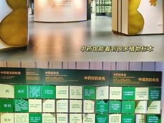 -广东中医药博物馆
