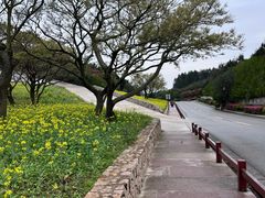 -普陀山风景区-佛顶山