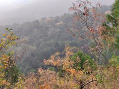 -香山公园