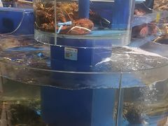 -新海渔港·胶东海鲜家常菜·家宴(奥体中心店)