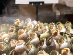 -新发展亚太JW万豪酒店·福苑咖啡厅