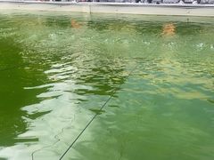 -DGE季风钓虾营地·团建·聚会