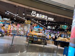 门面-盒马鲜生(岭南新世界店)