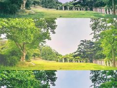 -青岛德国总督楼旧址博物馆
