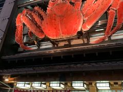 -蟹料理 北海道かに将軍(札幌本店)