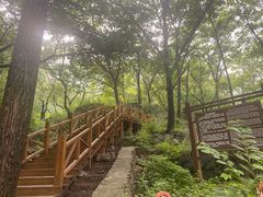 -大岭沟猕猴桃谷风景区