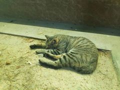 -南京理工大学紫金学院