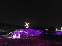 -大塘金香草谷