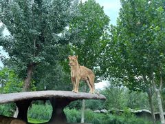 -北京野生动物园