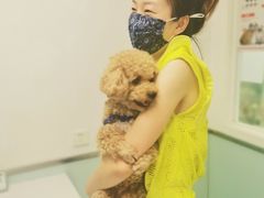 -达爱动物医院·犬猫分区·CT·复杂眼科(远洋山水分院)