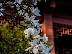 -郑和公园