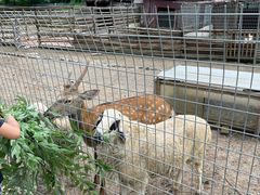 -北京山里寒舍度假酒店