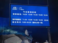 -海合安青岛极地海洋公园
