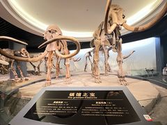 -大庆市博物馆