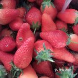 食材,每一样都要仔细挑选