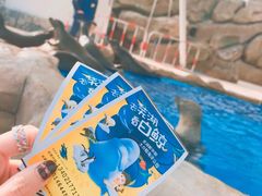 -芜湖新华联大白鲸海洋公园