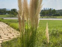 -盘龙城国家考古遗址公园