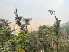 -重庆平顶山公园
