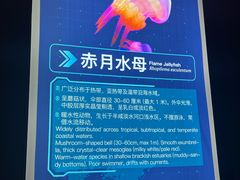 -大连圣亚海洋世界