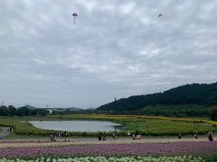 -径山花海