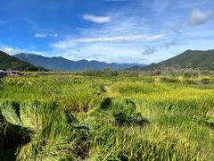 -泸沽湖国家级风景名胜区走婚桥