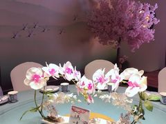 餐具摆设-树下时尚餐厅(翠园街店)