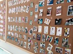 -欧奕国际动物医院