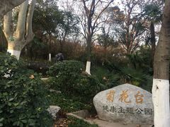 -菊花台公园