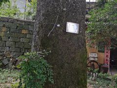 -浙西大峡谷